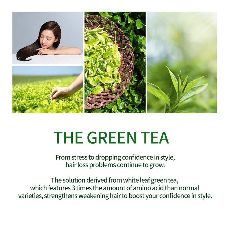 AMOS PROFESSIONAL The Green Tea Shampoo [Fresh - For Oily Scalp] 17.6oz (500g) | Anti-Thinning & Anti- Hair Loss Shampoo for Hair Growth and Cleanse Excess Sebum | Korean Hair Salon Brand - Image 4